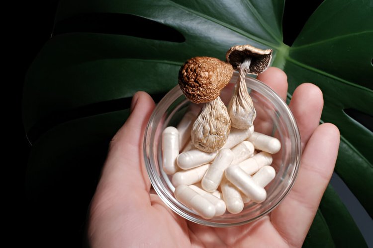 Exploring the Convenience of Ordering Psychedelic Fungi Capsules!